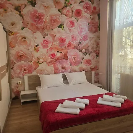 Roses Софія
